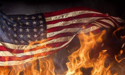 The Constitutionally Protected Right To Burn The American Flags Shouldn’t Apply to Liberals